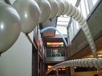 Appealing Balloons and Events 1092230 Image 2